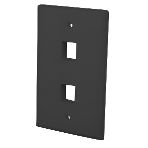 Multi-Media Keystone Wall Plate 2-Port