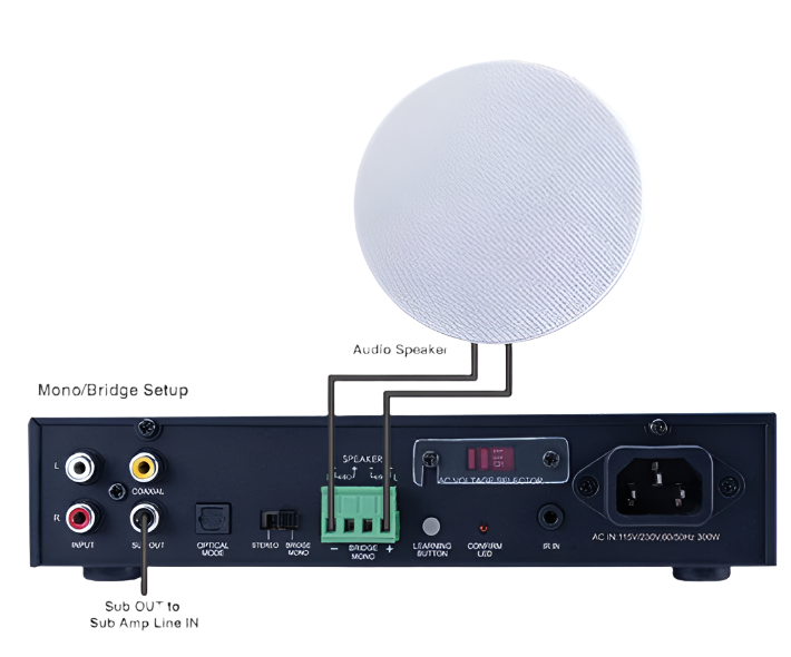 BA2101 2x100W Digital Amp with Sub Out