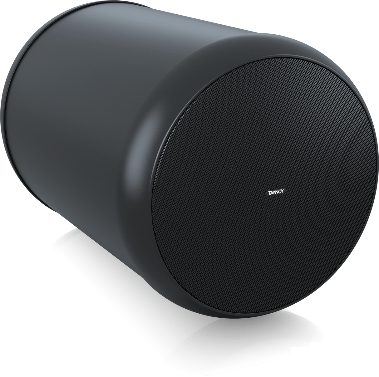 OCV6 6" Coaxial Pendant Loudspeaker (Each)