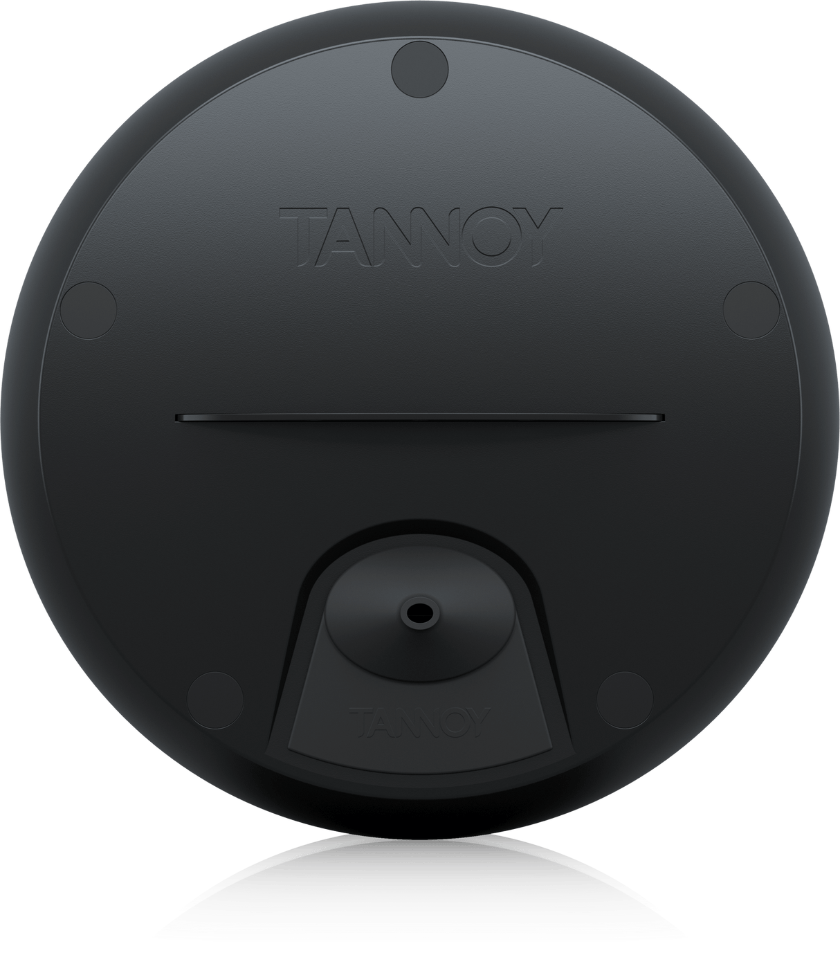 OCV6 6" Coaxial Pendant Loudspeaker (Each)