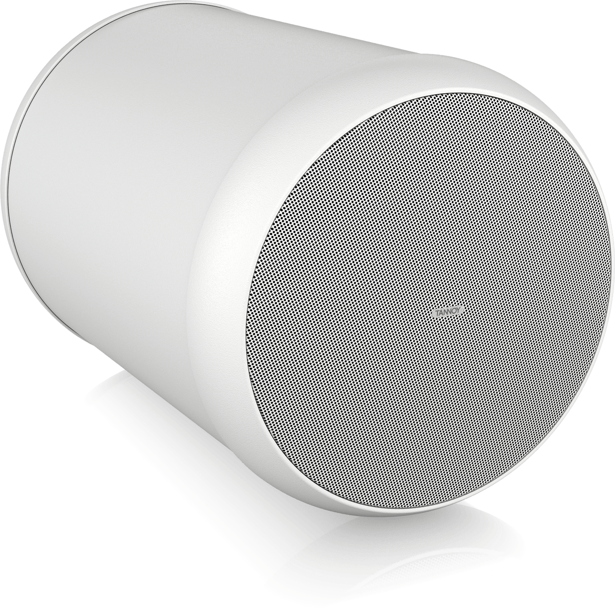 OCV6 6" Coaxial Pendant Loudspeaker (Each)