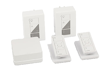 P-BDG-PKG2P Caseta Lamp Dimming Smart Plug Kit