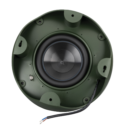 LS10 10" Landscape Sub