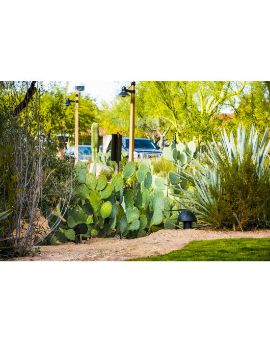 Periscape Speaker Landscape (Each)