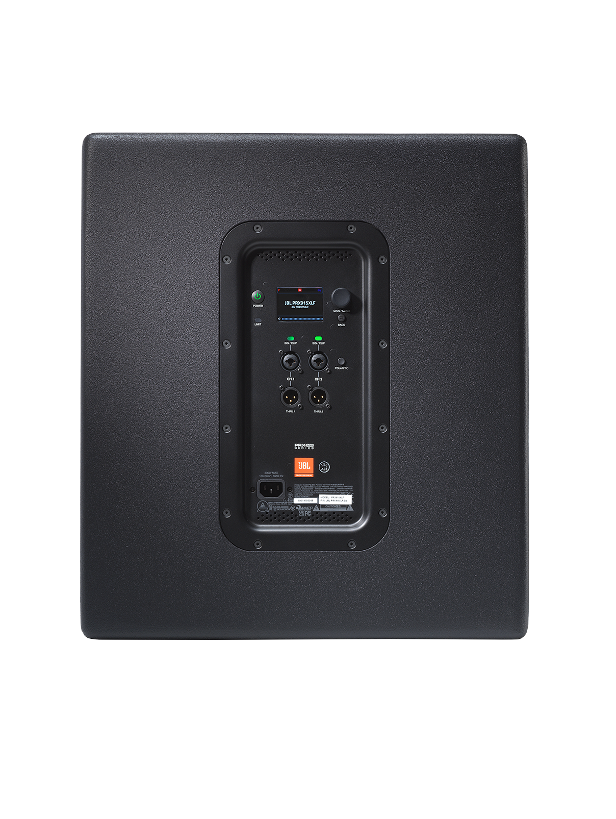 Professional Powered Subwoofer