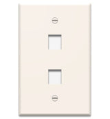 WP3402 Single Gang Wall Plate 2-Port
