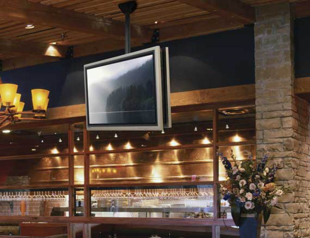 LC2AB1 Dual TV Ceiling Mount for 37" - 70" TVs