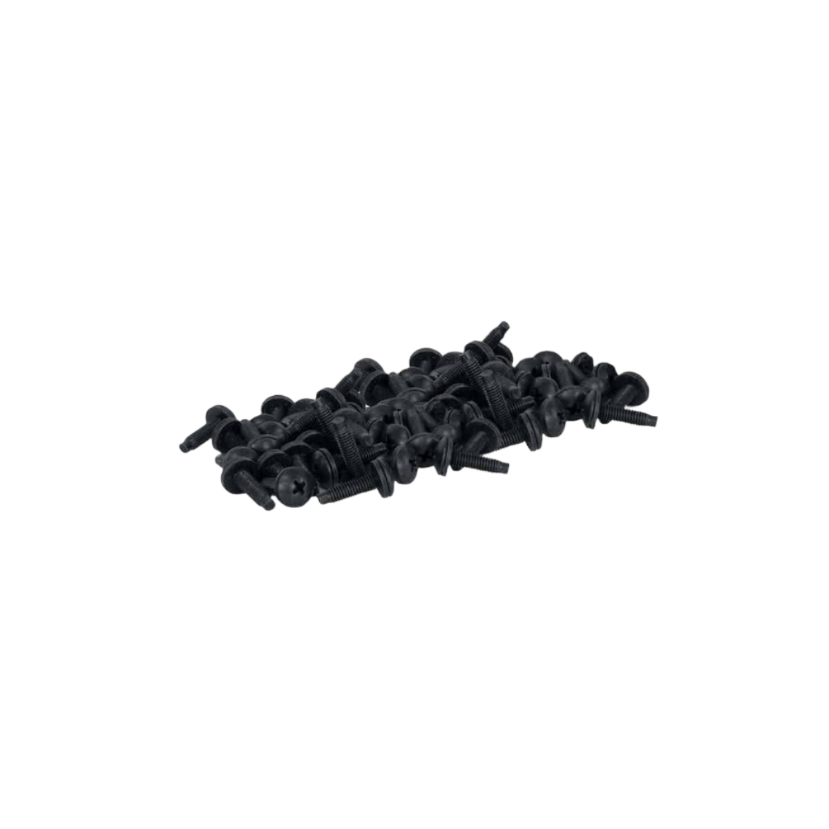 RS100 Hardware 10-32 Phillips Truss Head Screws 100 pc. Bag