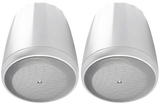 Control C67PT 6.5" Speaker Pendant (Pair)