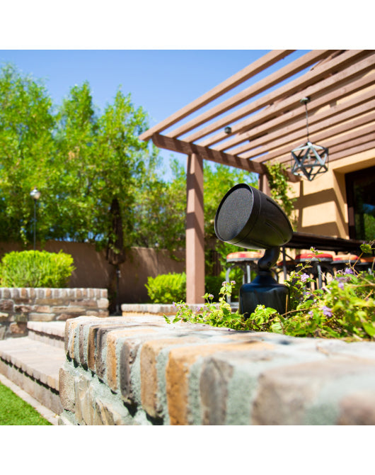 CherryBomb Speaker Landscape Full Range (Each)