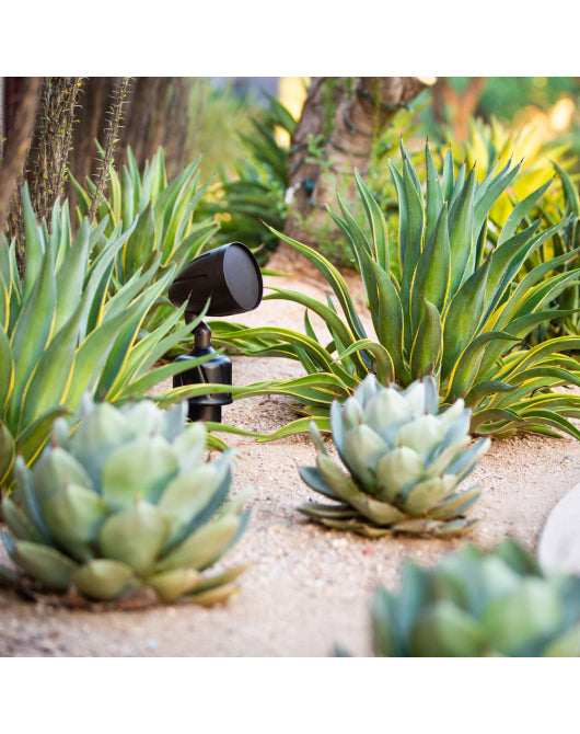 CherryBomb Speaker Landscape Full Range (Each)