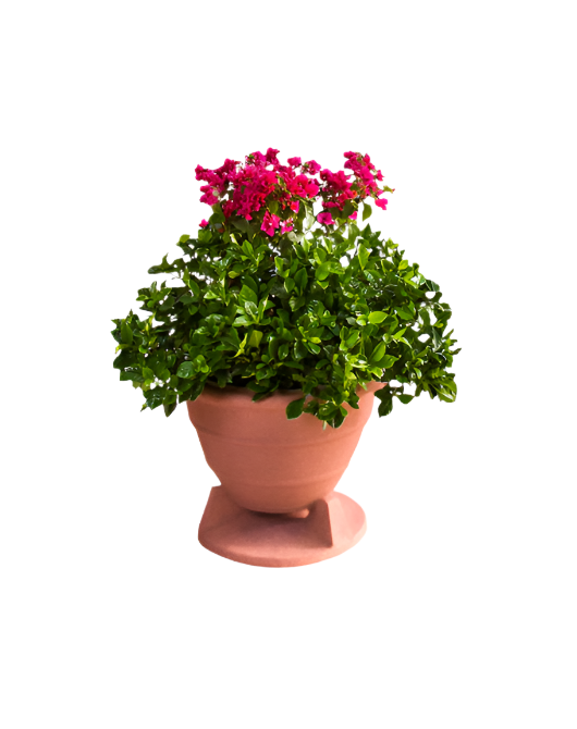 Omniplanter 6.5TC 6.5" Speaker Coax On-Ground Planter Round