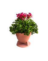 Omniplanter 6.5TC 6.5" Speaker Coax On-Ground Planter Round