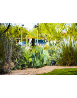 Periscape Speaker Landscape (Each)