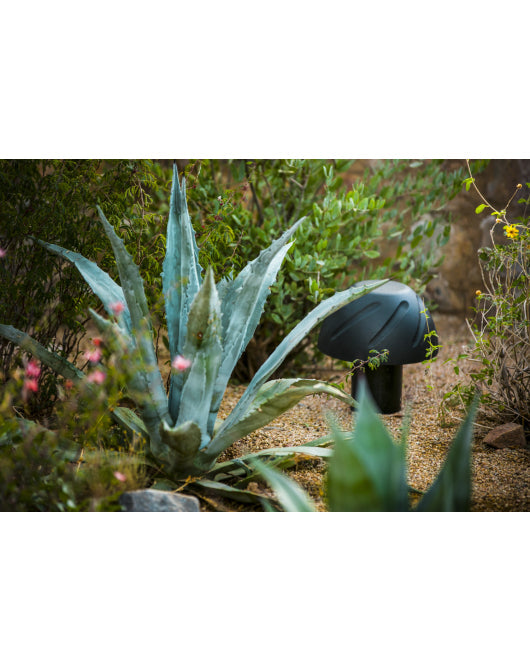 MusicGarden Outdoor Landscape Speaker Package Black