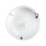 SSQ12AWH Loudspeaker (Each)