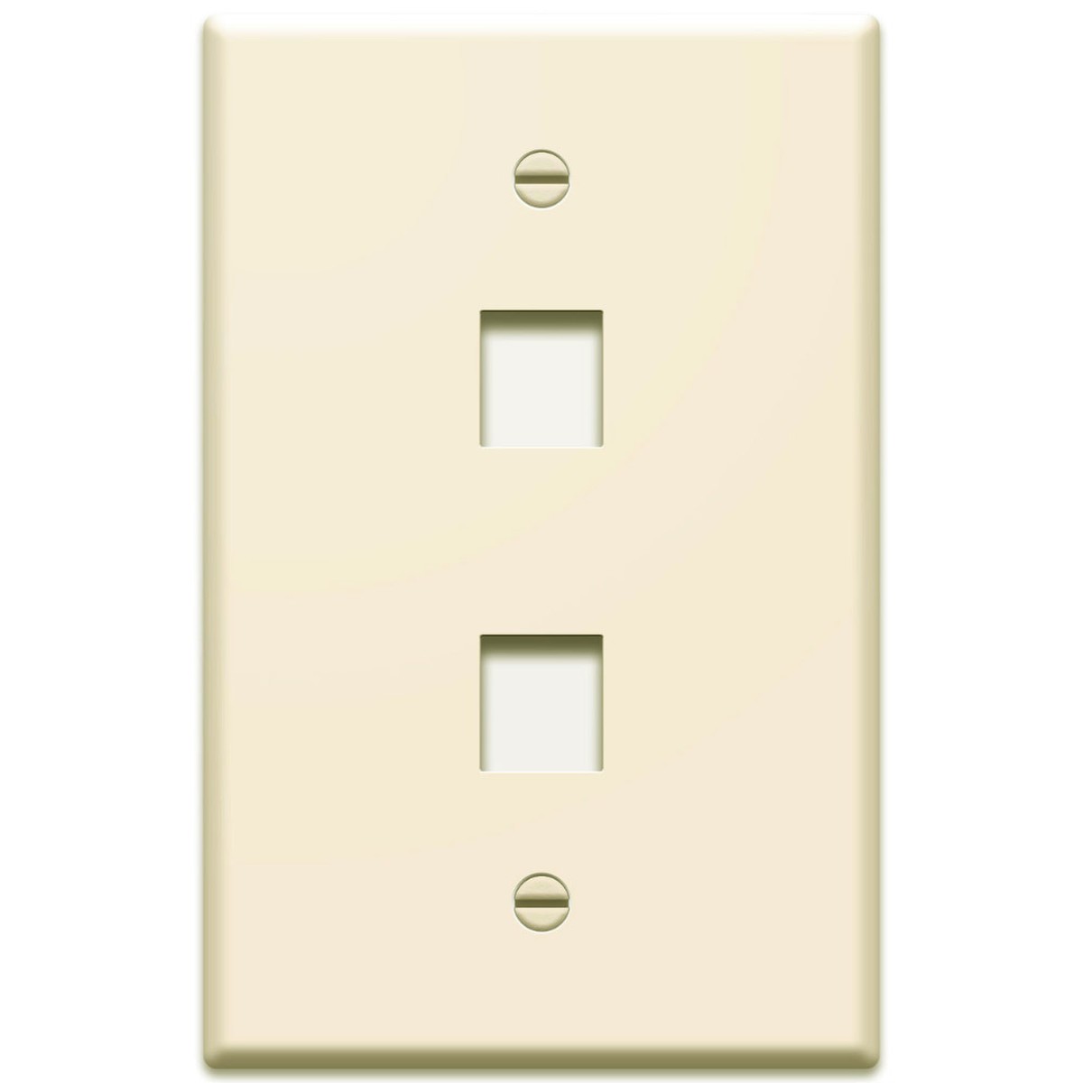 WP3402 Single Gang Wall Plate 2-Port