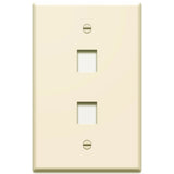 WP3402 Single Gang Wall Plate 2-Port